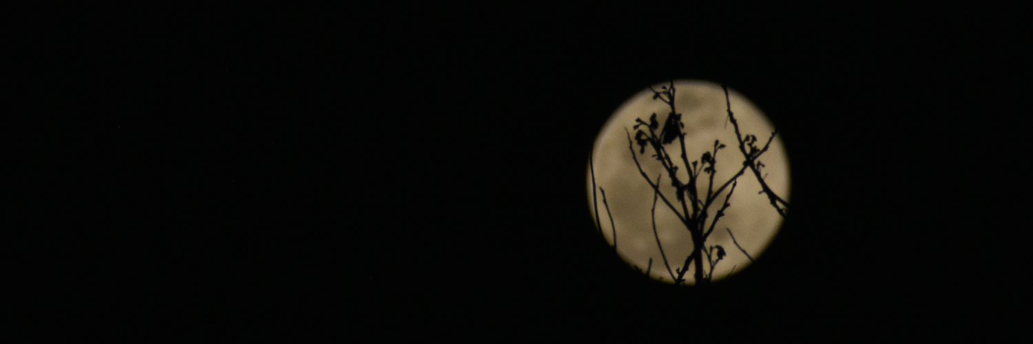 FrostfallScraps's profile banner image