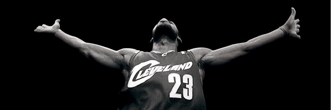 Goose_Guy banner