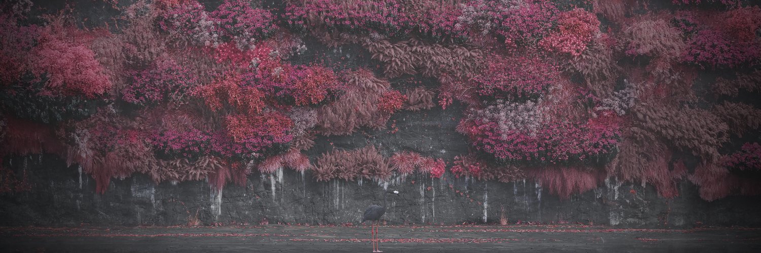 thomasrysgaard banner