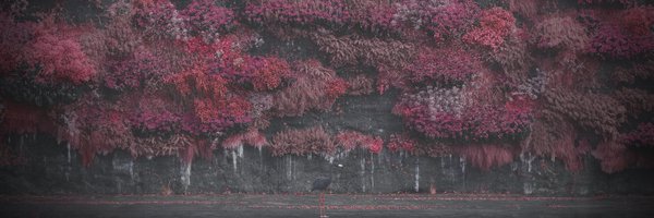 thomasrysgaard Profile Banner