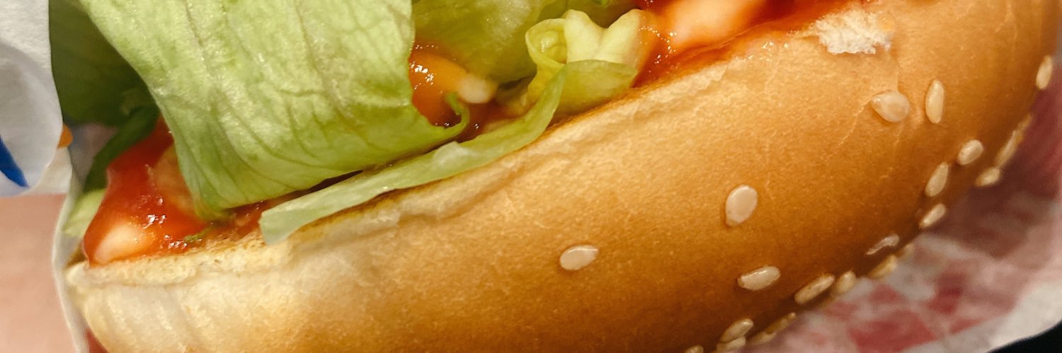 gohomeexpres2's profile banner image