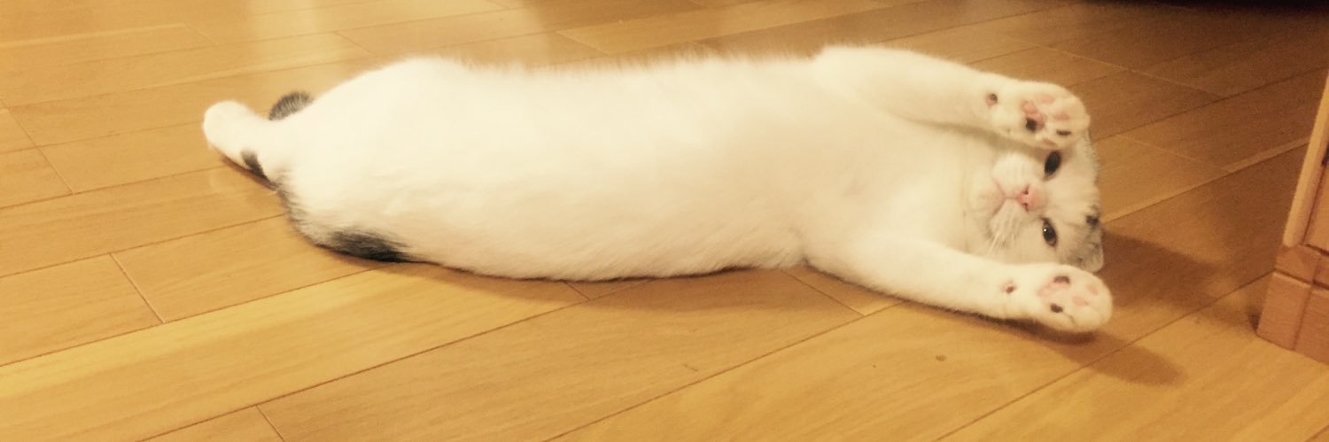 ムラカミ マホ_LAYRUS LOOP banner