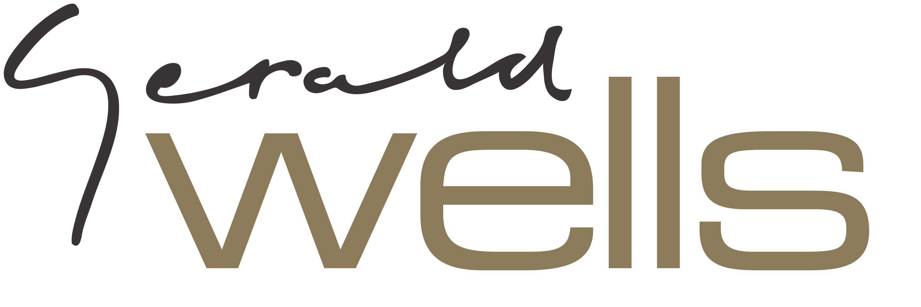 Gerald Wells Hair banner