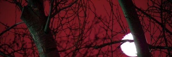 saintohi0's profile banner image