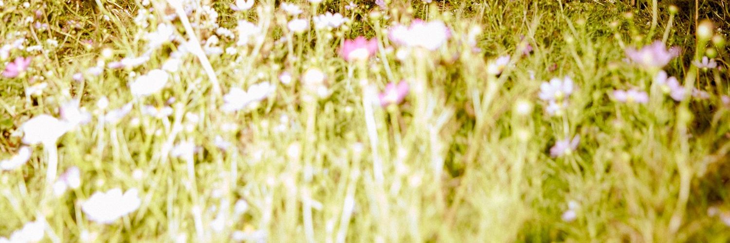 shincaeyyts's profile banner image