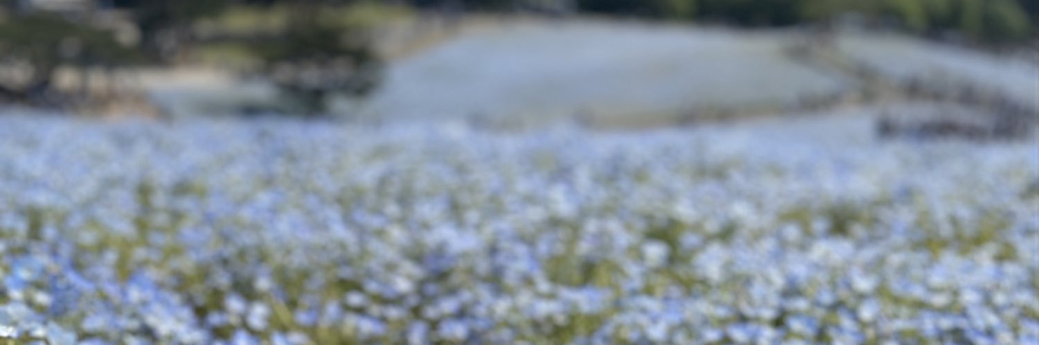 crazykuwa's profile banner image