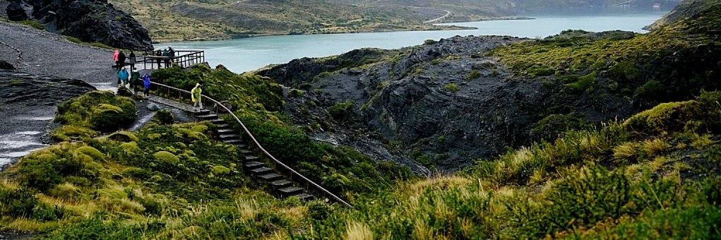 Marta Pascual banner