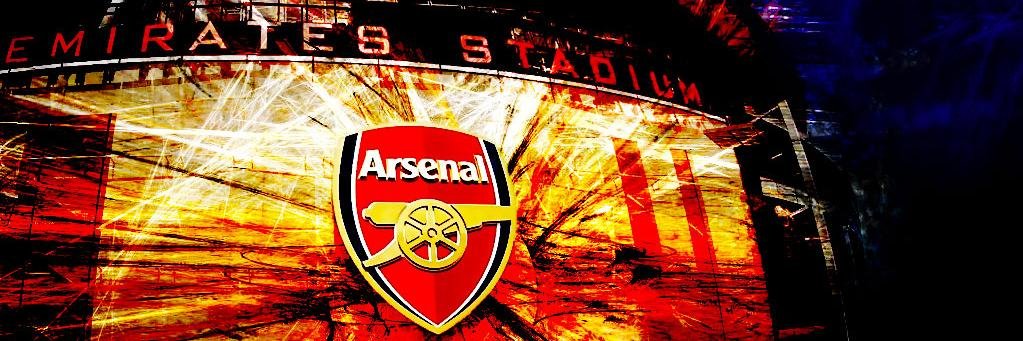ArsenalANPI's profile banner image