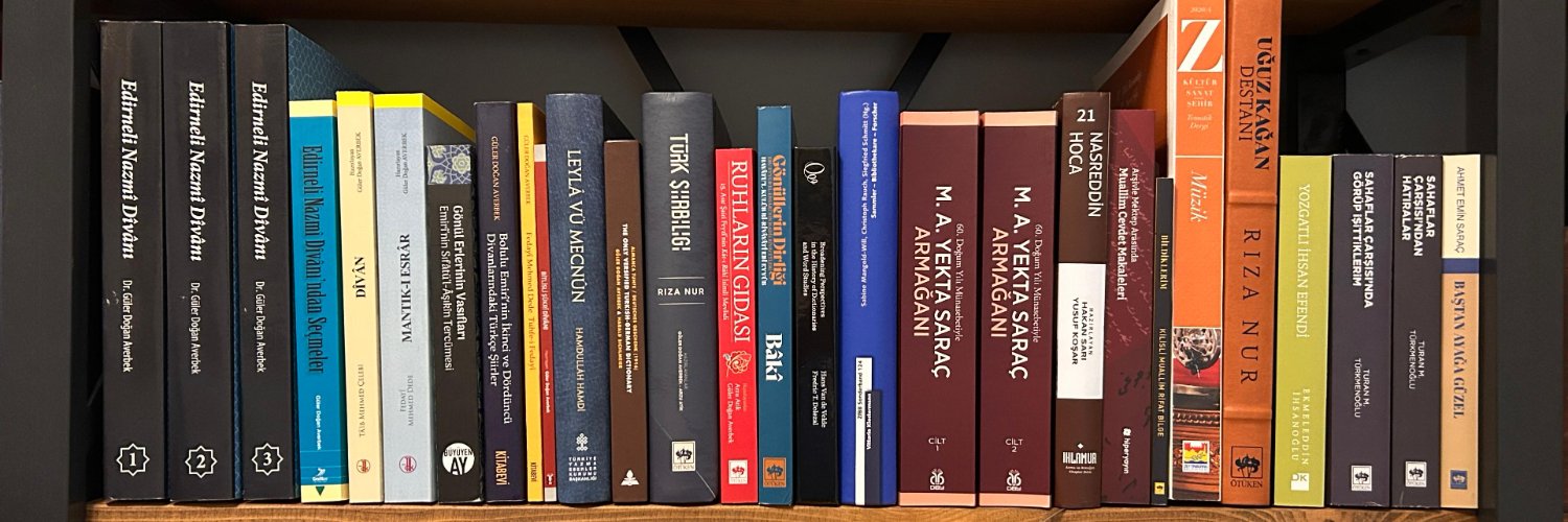 Güler Doğan Averbek banner