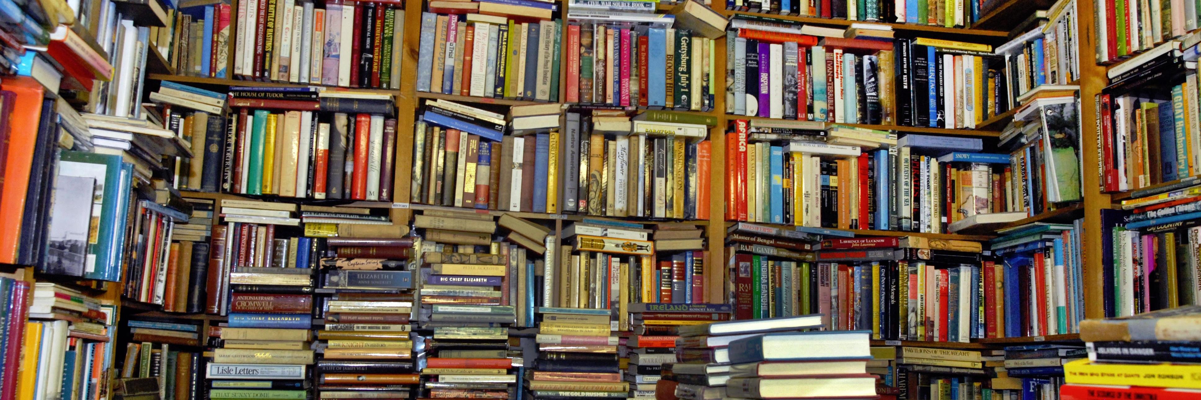 IndieFant's profile banner image