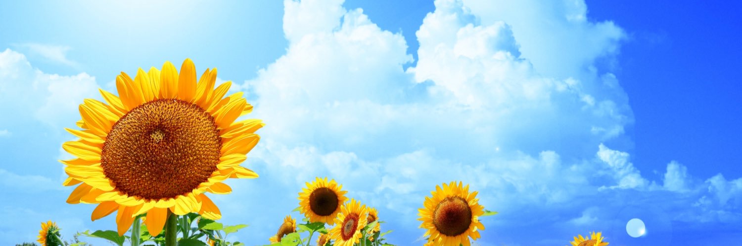 diggy3diggy's profile banner image