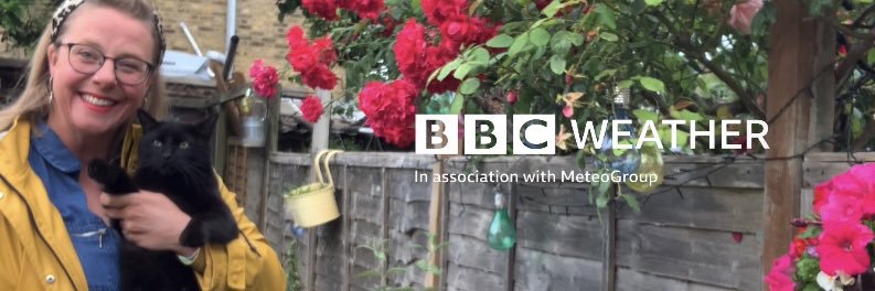 kate kinsella banner