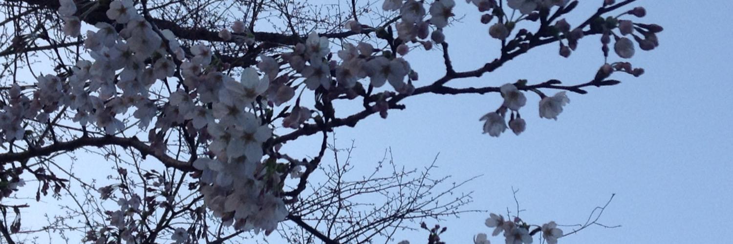 茶屋は垢移動しました banner