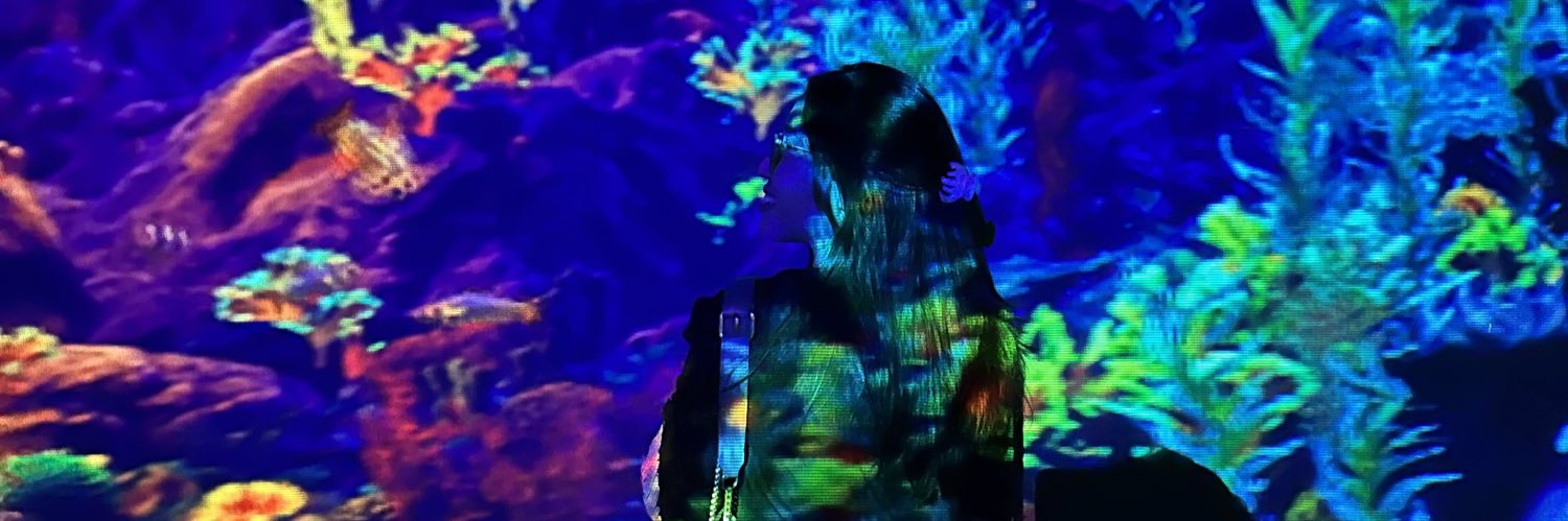 🦋 banner
