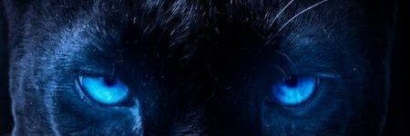 Wallis_65's profile banner image