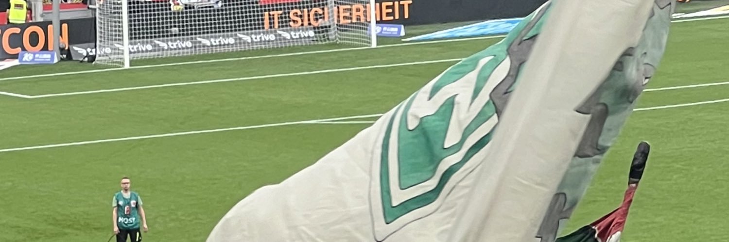 Meltobi banner