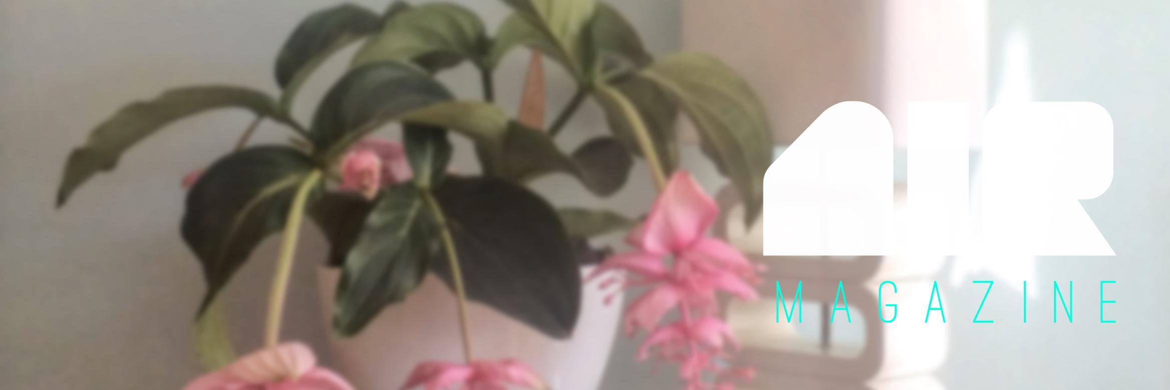 airredactie's profile banner image