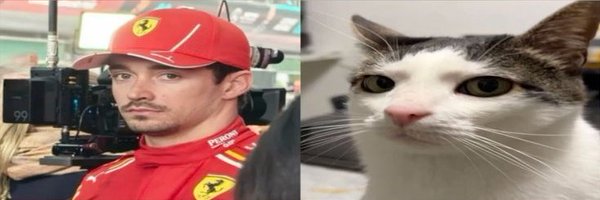 gaioschii Profile Banner