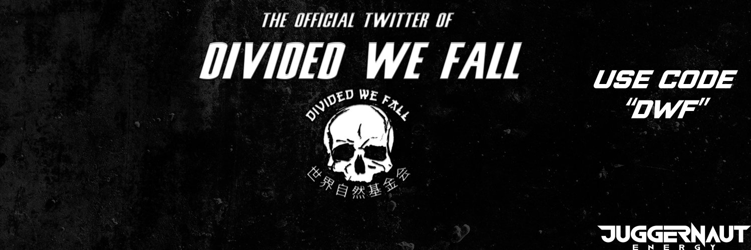 Divided We Fall banner