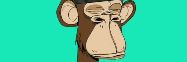 raim99991's profile banner image