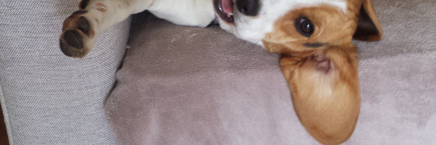 anniem666's profile banner image