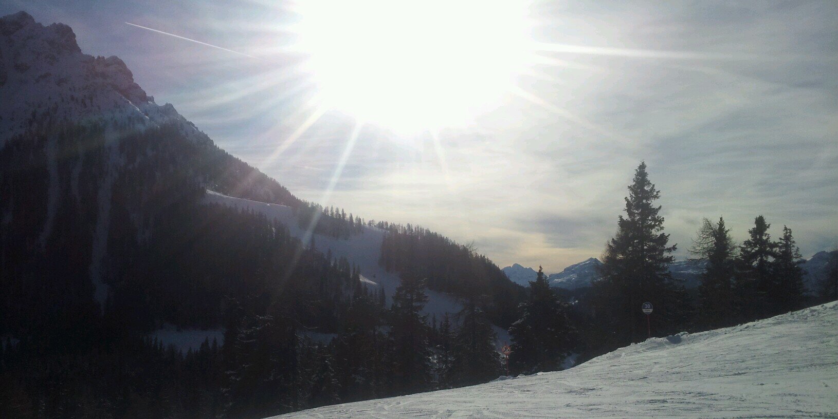 paola rigoldi banner