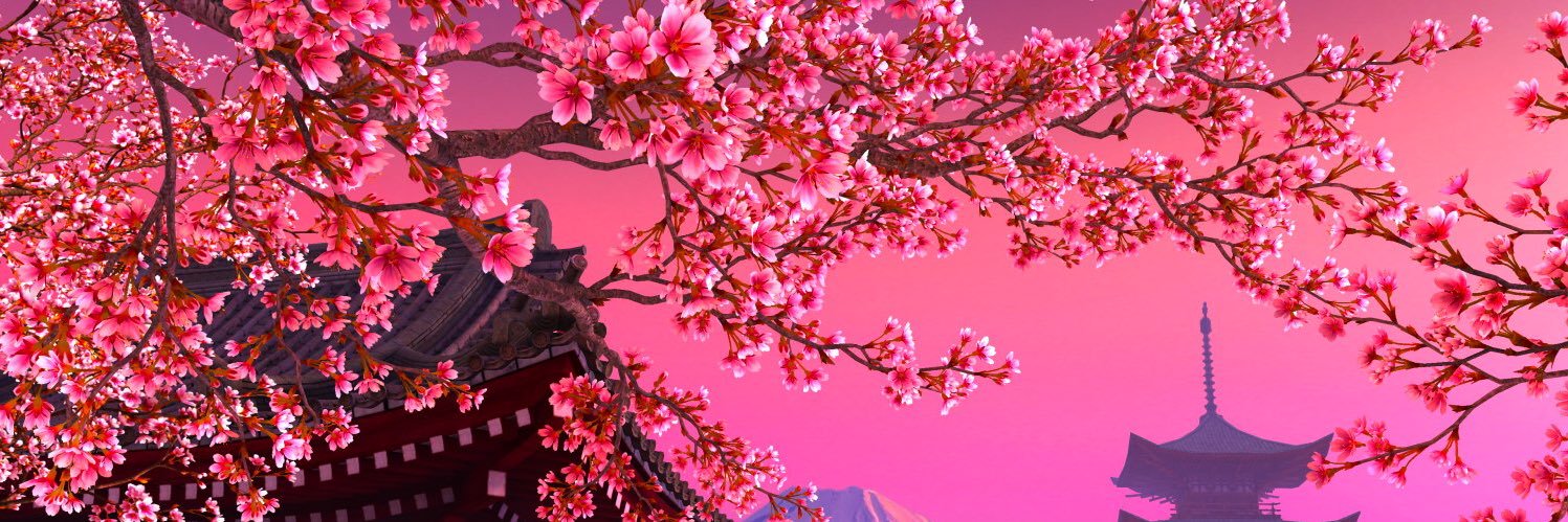 NVieouss's profile banner image