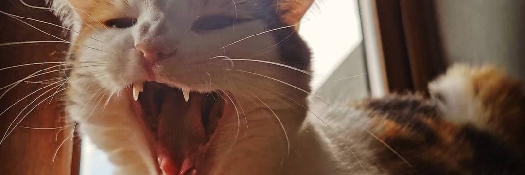 MattyP076's profile banner image