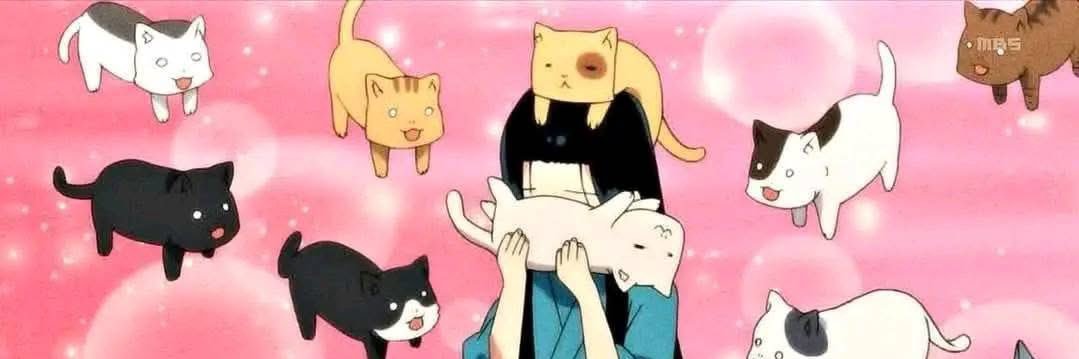 thelifeoftati's profile banner image