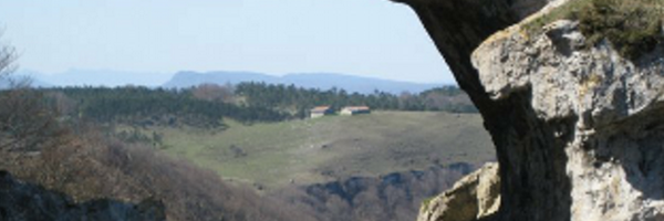 Danelka46 Profile Banner