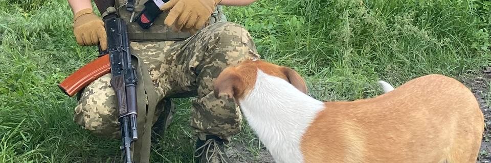 reliable person 🇺🇦 banner