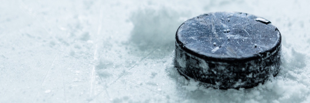 Atlantic Hockey Federation banner