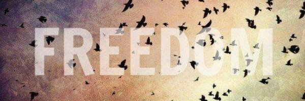 Kyle_Engineerx Profile Banner