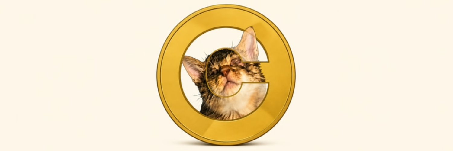 CateCoin_App's profile banner image