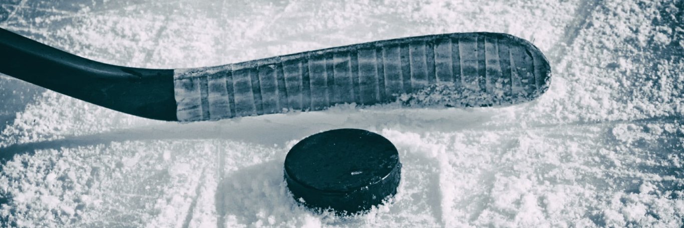 Shawn F. Wilken banner