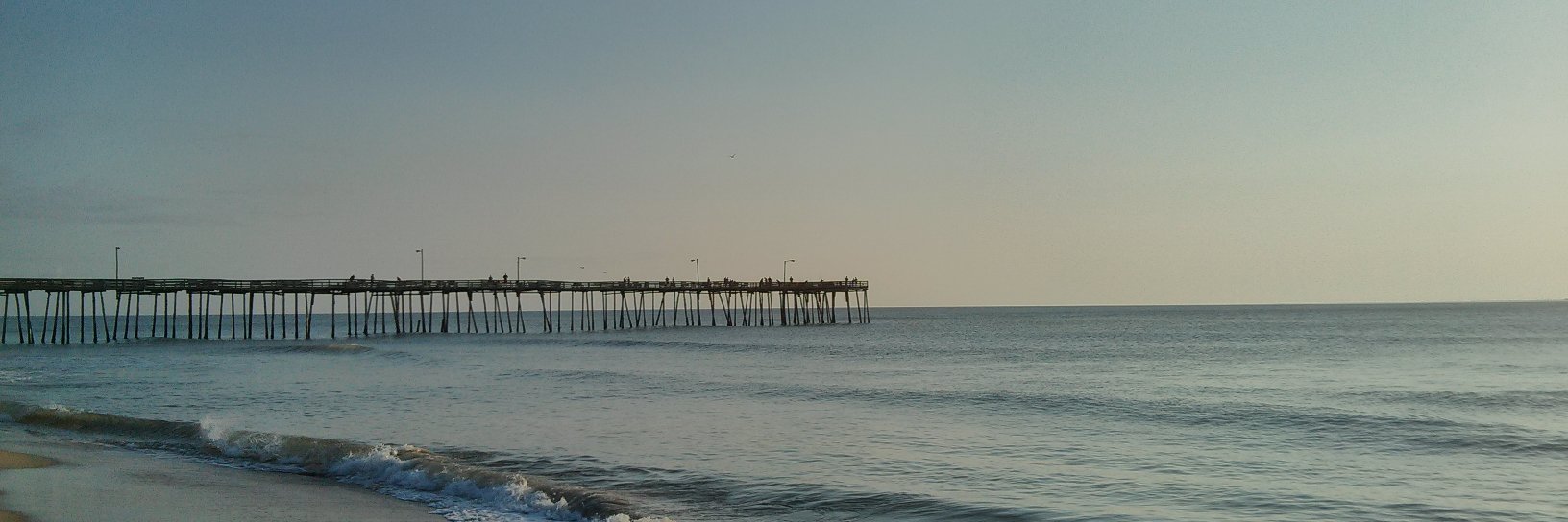 Maoz Rosenthal banner