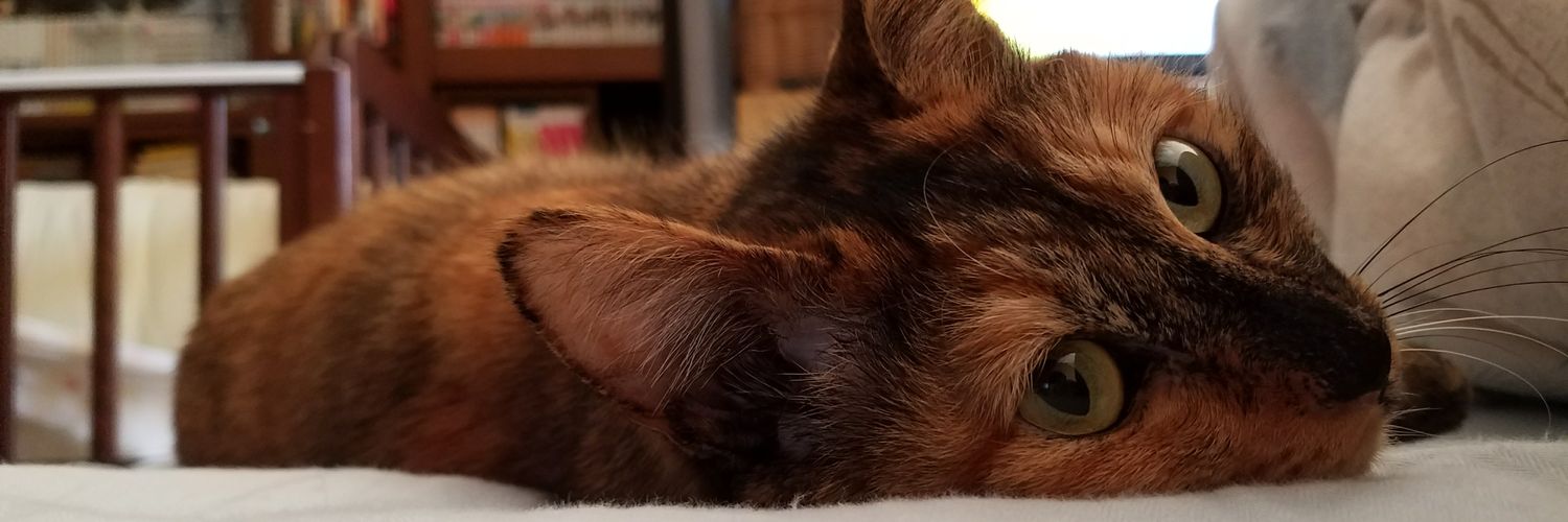 hi4160's profile banner image