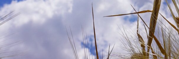 konyagram's profile banner image