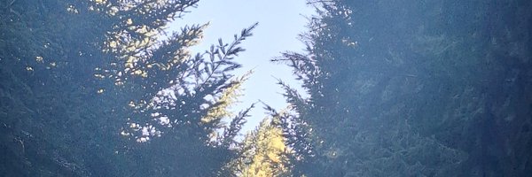 BronznTelscopes Profile Banner