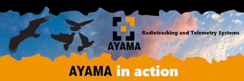 ayama's profile banner image