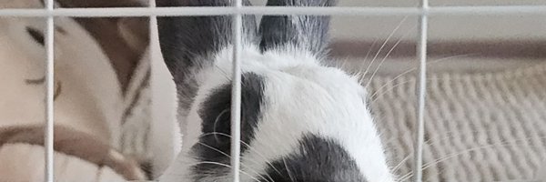 youngnumb3r Profile Banner