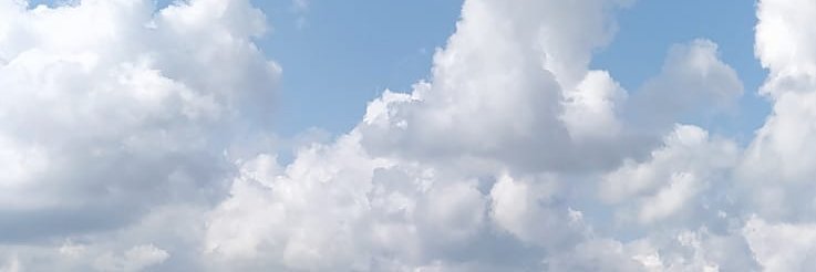 apiava's profile banner image