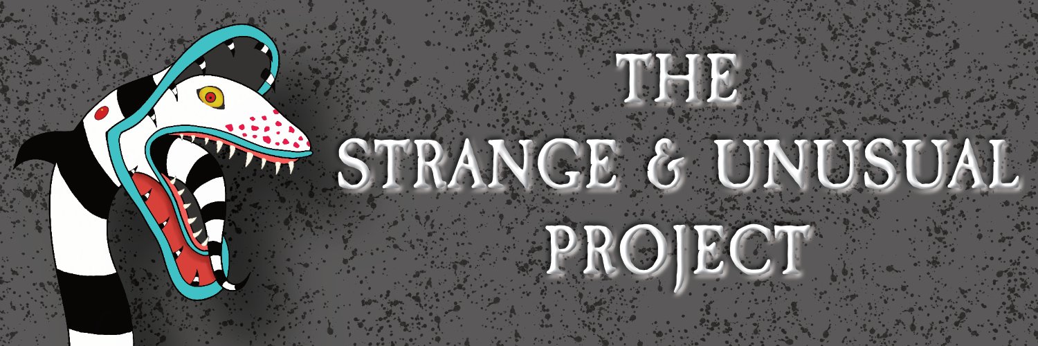 unusualproject's profile banner image