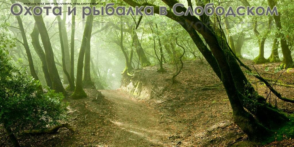 Охота и рыбалка banner