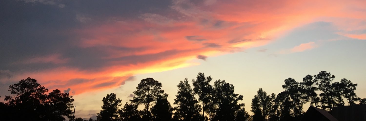 BeckhamAdams's profile banner image