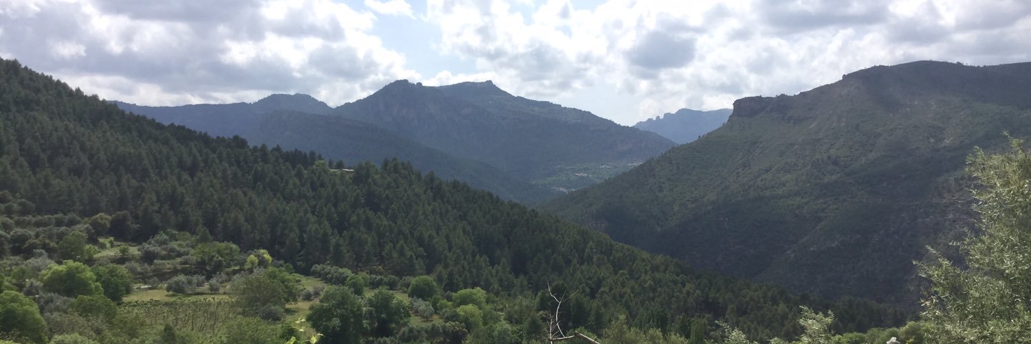 Nuria Martínez. (@Nuria457) / Posts / X