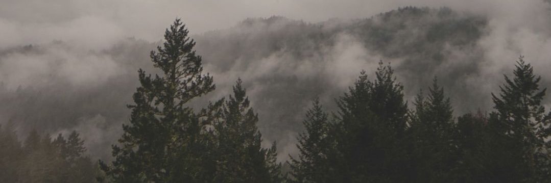elenacoello_'s profile banner image