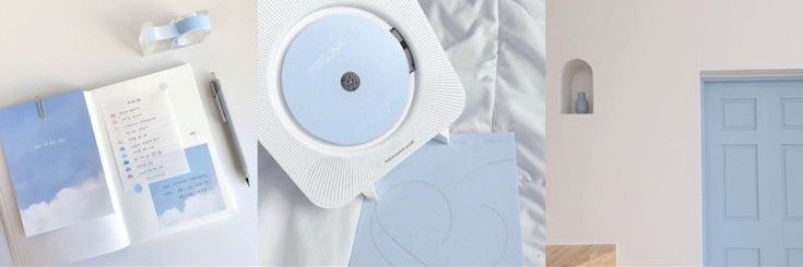 zy | pcd ss10 banner