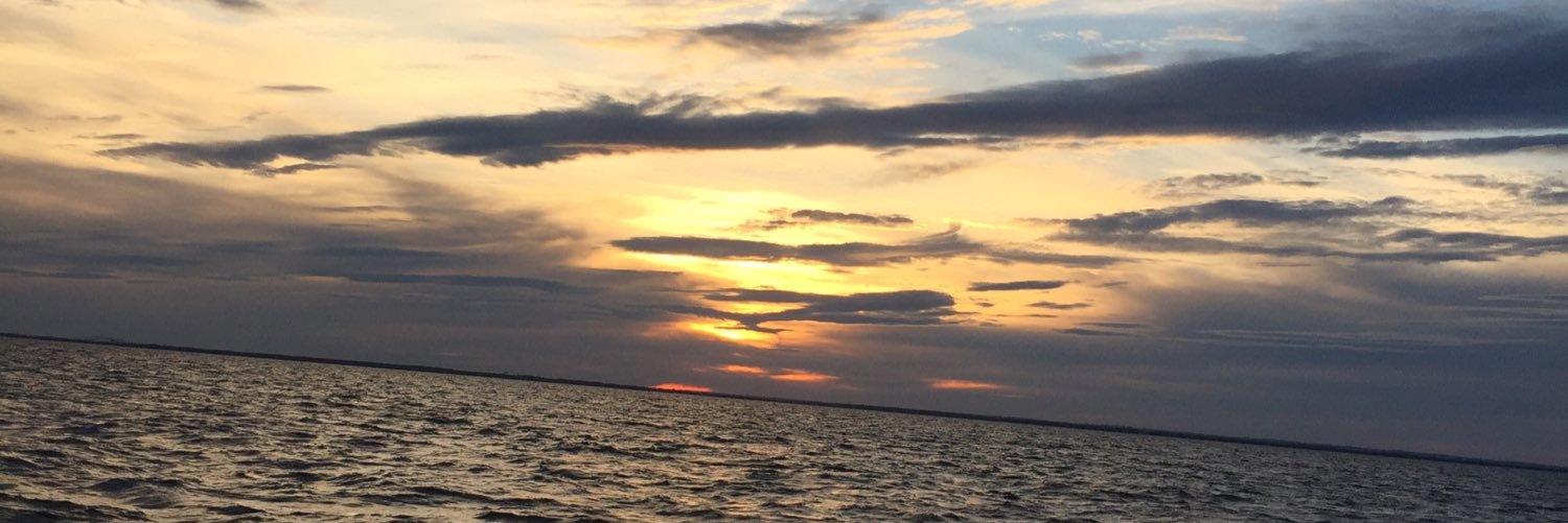 Sergio Schwartz  banner