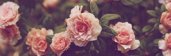 allkindsof_RK Profile Banner